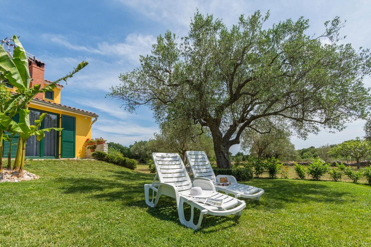 Casa Romantica Воднян Екстериор снимка